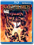 Black Veil Brides - Alive And Burning  (Blu-ray, блю-рей)