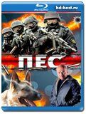 Пёс 1 сезон (Blu-ray,блю-рей) 4 диска