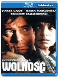 Побег из кинотеатра 'Свобода' (Blu-ray,блю-рей)