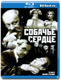 Собачье сердце (Blu-ray, блю-рей)