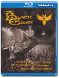 The Black Crowes - Freak'n'Roll... Into The Fog ( Blues rock, hard rock )