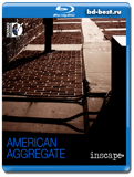 American Aggregate (2014) Blu-ray AUDIO 1080i AVC DTS-HD 7.1 (Blu-ray, блю-рей)