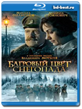 Багровый цвет снегопада (Blu-ray, блю-рей)