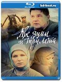 Две зимы и три лета (Blu-ray,блю-рей) 4 диска