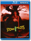 Stone Temple Pilots: Alive in the Windy City ( Alternative rock, hard rock, grunge)