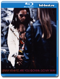 Lenny Kravitz - Are You Gonna Go My Way (1993) / 2014 / Hi-Res / Blu-Ray Audio