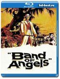 Банда ангелов  (Blu-ray,блю-рей)