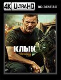 Клык  2023 (Blu-ray,блю-рей) 4К