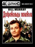 Добровольцы поневоле  (Blu-ray,блю-рей) 4К