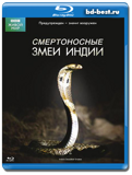 BBC: Живой мир - Смертоносные змеи Индии (Blu-ray,...