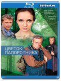 Цветок папоротника (Blu-ray,блю-рей) 4 диска