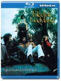 The Jimi Hendrix Experience - Electric Ladyland  (Blu-ray,блю-рей) AUDIO