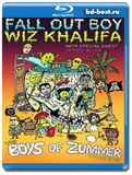 Fall Out Boy: The Boys of Zummer Tour  (Blu-ray, блю-рей)