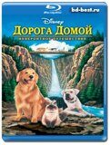 Дорога домой: Невероятное...