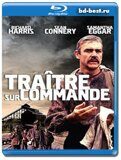 Молли Макгвайерс (Blu-ray,блю-рей)
