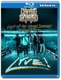 Lynyrd Skynyrd - Last Of The Street Survivors Farewell Tour Lyve (Blu-ray,блю-рей)