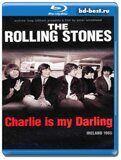 The Rolling Stones - Charlie is my Darling - Ireland (Blu-ray,блю-рей)