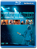 Gary Moore & Friends: One Night In Dublin