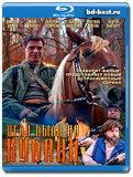 Дело было на Кубани   (Blu-ray,блю-рей)  2 диска