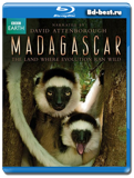 BBC: Мадагаскар 2 диска (Blu-ray, блю-рей)
